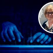 Wiltshire Bobby Van Trust Director Jennie Shaw had provided advice on how to keep hackers at bay
